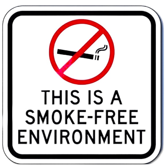 Placemats Apple Printed Damask Fabric 4 Reversible Pieces White Red Green Yellow - Picture 12 of 16